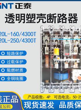 透明漏电断路保护器DZ20L
