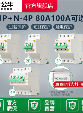 漏电保护断路器空气工业用空开电闸开关80A100ALE-100