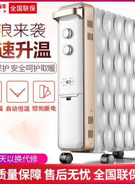 电油汀电油汀DS1555节能取暖器