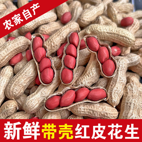 2025年新红皮花生新鲜花生米生新货生花生带壳晒干红衣花生仁自种