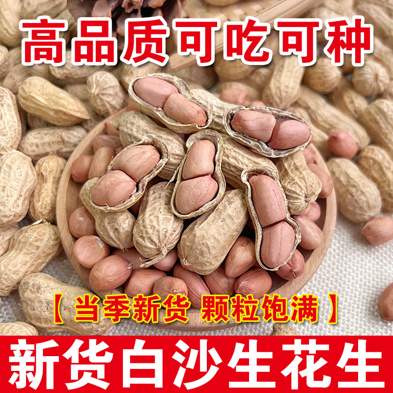 23年新鲜带壳生花生晒干高产薄壳花生种子粉红皮白沙花生新大粒