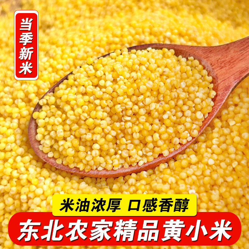 东北黄小米新货正宗农家自产黄小米月子米小黄米油煮粥当季新小米