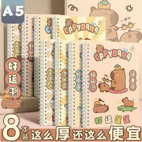 线圈本笔记本ins高颜值加厚A5