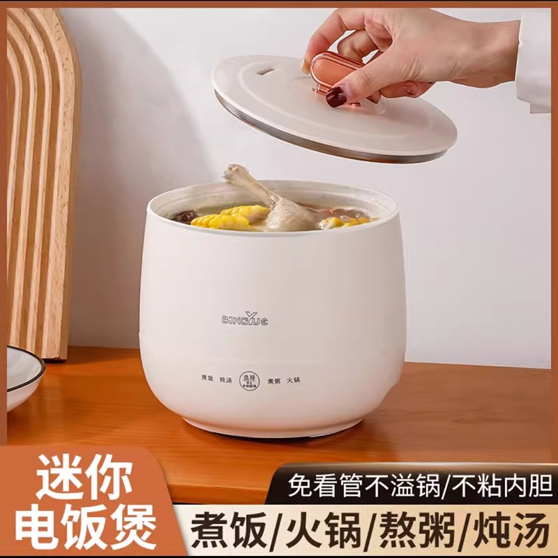 德国进口迷你电饭煲电煮锅小型家用智能电炖锅多功能熬汤煮饭神器