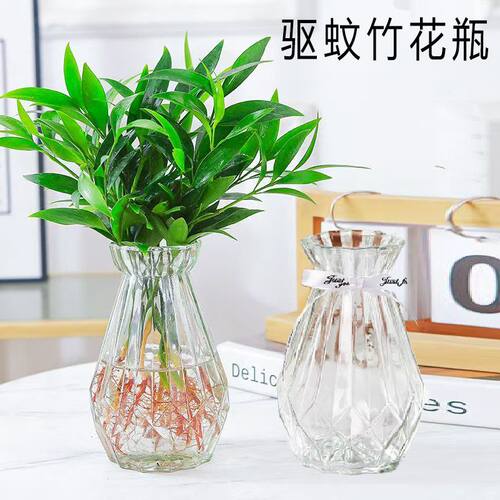 驱蚊竹绿萝铜钱草水培透明玻璃瓶子阳台植物花卉盆栽小号花瓶花盆