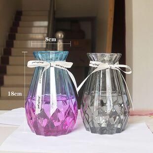 新年玻璃花瓶北欧透明水养富贵竹客厅家用干花鲜花满天星花瓶