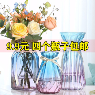 欧式 饰摆件 创意玻璃花瓶透明水培绿萝植物玻璃花瓶家用插花客厅装