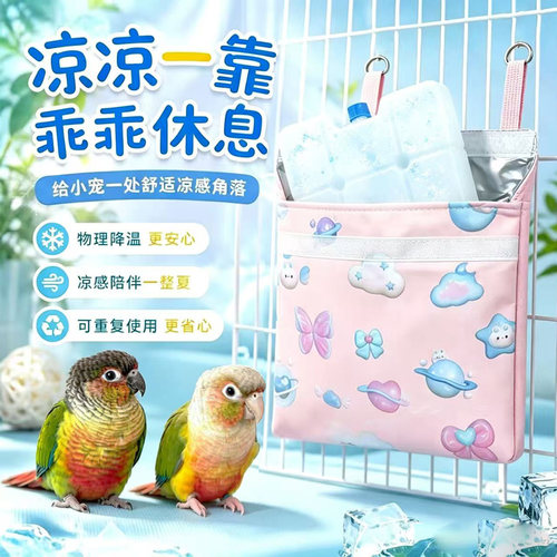 鹦鹉降温空调房冰窝屋