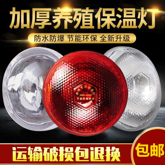 加厚畜牧保温灯泡 防水防爆红外线仔猪灯泡 养殖取暖灯泡兽用器械,畜牧/养殖物资,畜牧/养殖器械,淘宝优惠券,粉丝福利购,淘宝优惠卷