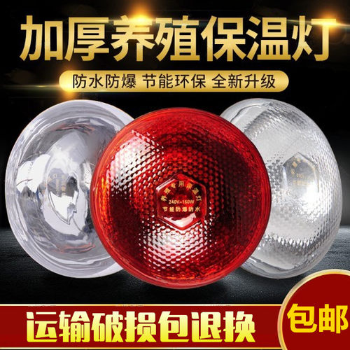 加厚畜牧保温灯泡 防水防爆红外线仔猪灯泡 养殖取暖灯泡兽用器械 - 封面