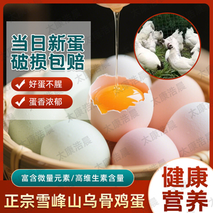50枚纯正白羽黑肉乌骨鸡蛋正宗雪峰山绿壳药蛋低胆固醇高多维