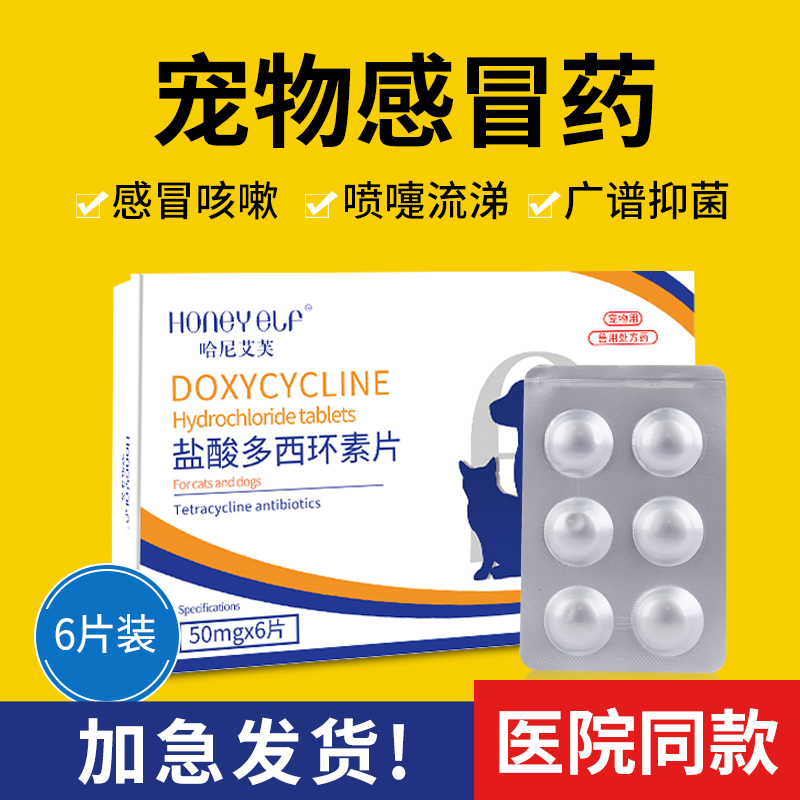 狗狗感冒药猫咪流鼻涕