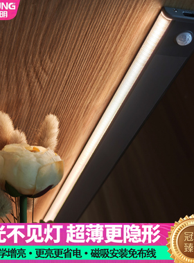 超薄充电感应灯超长续航大容量人来即亮人走即灭自动感应橱柜灯条
