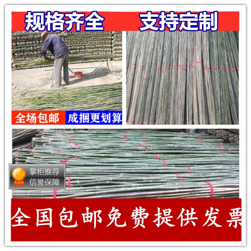竹竿竹子竹筒竹杆防腐喷漆新鲜青竹菜架竹旗杆横幅杆装修竹竿篱笆