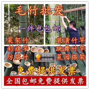 出售各种规格粗细大毛竹竹竿防腐竹杆菜园搭架竹竿篱笆竹子竹杆