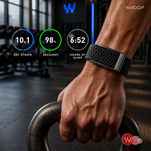 WhoopCloudKnit羊绒磨毛运动表带