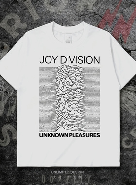 英国后朋克Joy Division乐队摇滚印花情侣短袖T恤男女纯棉上衣夏