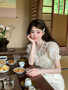 Acaine阿彩呢【清风竹酒】裙子质感高级感新中式旗袍碎花连衣裙