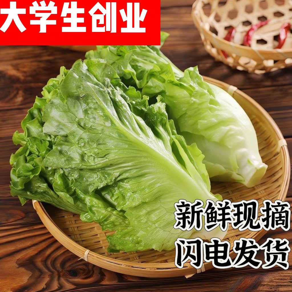 现摘生菜新鲜蔬菜生吃沙拉菜生吃蔬菜生吃蔬菜生吃蔬菜生吃蔬菜
