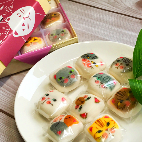 一口气吸完九只猫！猫咪瑞凤