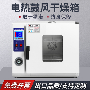 电热恒温鼓风干燥箱加热小型高温烤箱实验室工业医用恒温箱烤大灯