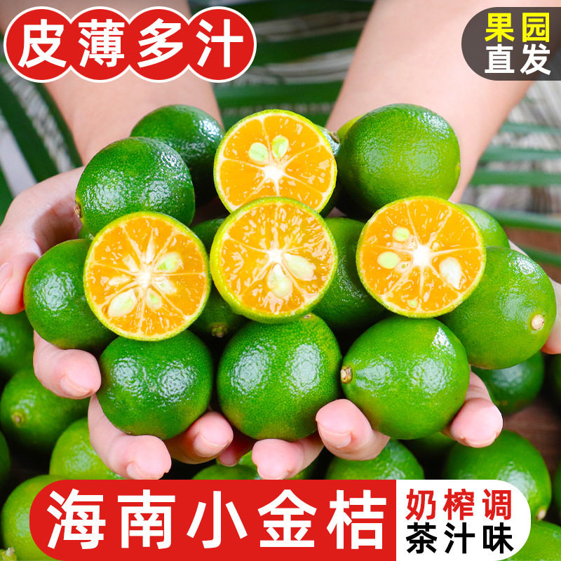 海南小金桔5斤小青柠新鲜青柑青桔皮薄当季水果青柠檬奶茶店专用