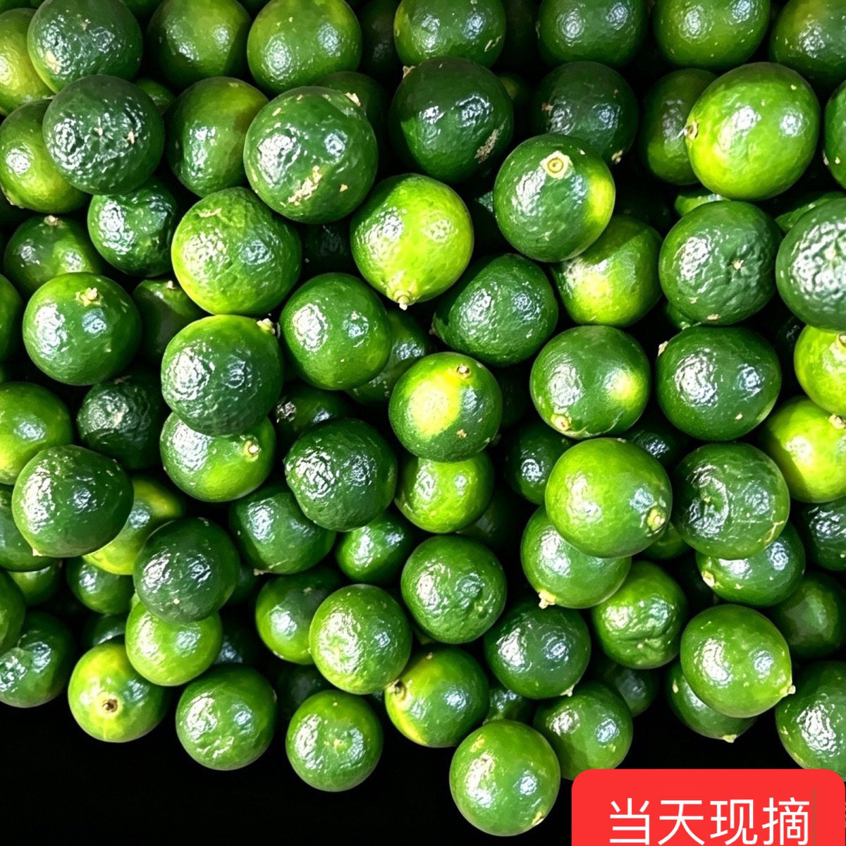 正宗海南小金桔皮薄多汁小青桔小青柠奶茶专用鲜果批发