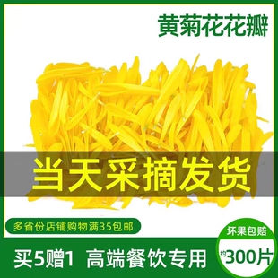 新鲜黄白菊花花瓣食用花瓣酒店酸菜鱼米线火锅西餐摆盘装饰用菊花