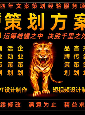 活动策划方案融资创业商业计划书可研报告企划书代写PPT制作代笔