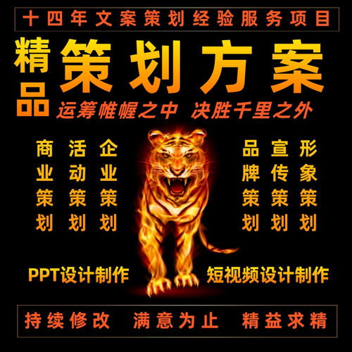 活动策划方案融资创业商业计划书可研报告企划书代写PPT制作代笔