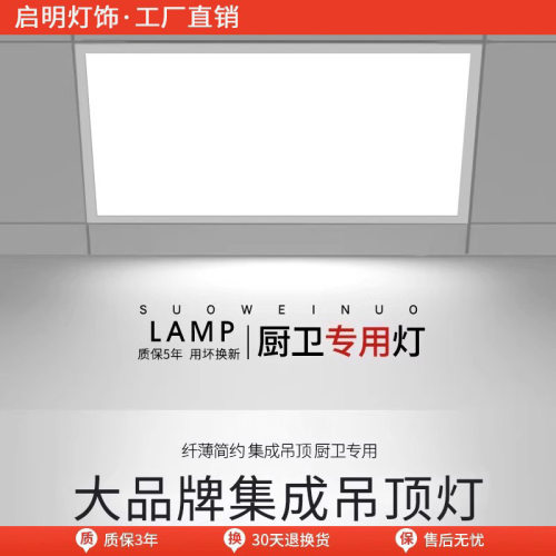 集成吊顶led灯厨房浴室厕所卫生间吸顶灯面板灯天花 嵌入式铝扣板