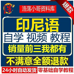 课程语视频教程教学自学资料小语种印尼入门课程基础训练讲电子版