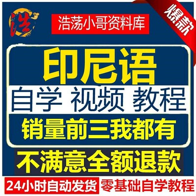 课程语视频教程教学自学资料小语种印尼入门课程基础训练讲电子版