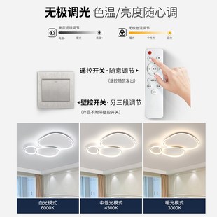 拍前询价鹅卵石客厅主灯20u24新款 现代简约大气感大厅大灯全屋议