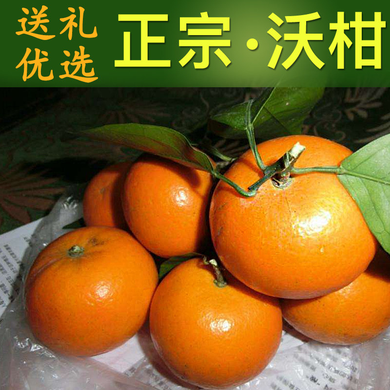 广西武鸣沃柑新鲜水果当季整箱正宗礼盒现摘现发10斤大果橘子,水产肉类/新鲜蔬果/熟食,桔子,淘宝优惠券,粉丝福利购,淘宝优惠卷