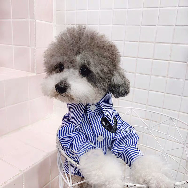 狗狗春夏蓝白条爱心博美衬衫比熊