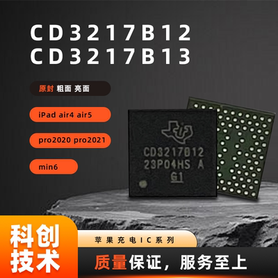 苹果iPad充电ICCD3217B12B13