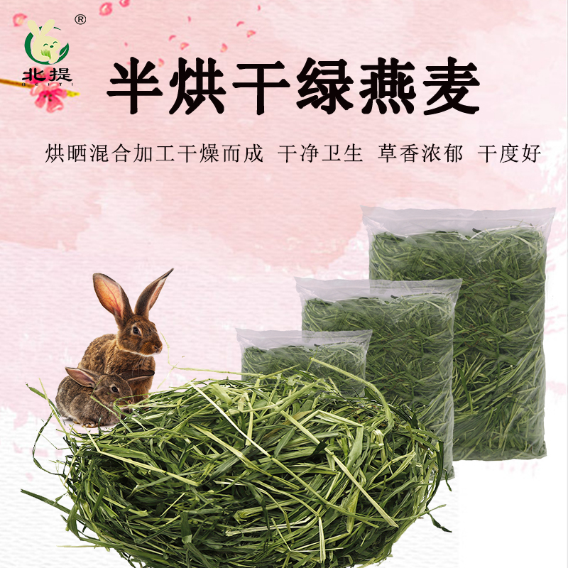 甘肃岷县高原青绿燕麦草500g半烘干宠物牧草龙猫粮食兔干草豚鼠草