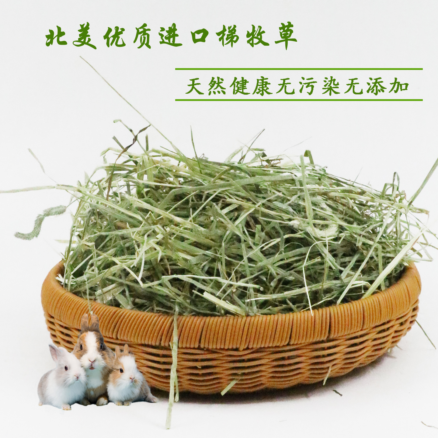 美国梯牧细草北提晒干磨牙提草