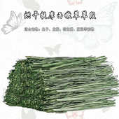 提摩西草烘干草段头茬嫩草北提宠物兔干草龙猫荷兰猪兔草提草饲料