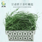 兔子提摩西草烘干嫩草北提宠物兔草荷兰猪龙猫草国产干草提草