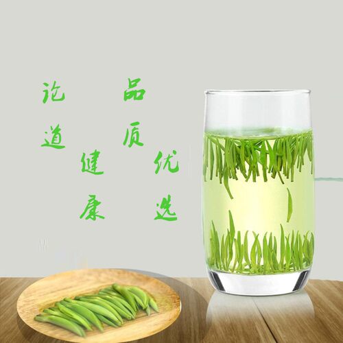 明前2026新品四川高山绿茶罐装