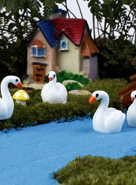 微景观多肉园艺盆栽情侣小摆件