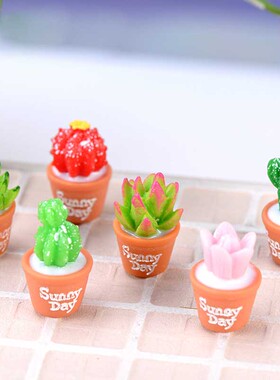 微景观盆栽装饰小摆件创意手工多肉仿真植物6款拍植物仙人掌芦荟