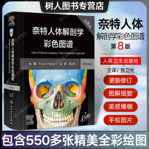 奈特人体解剖学彩色图谱全新升级