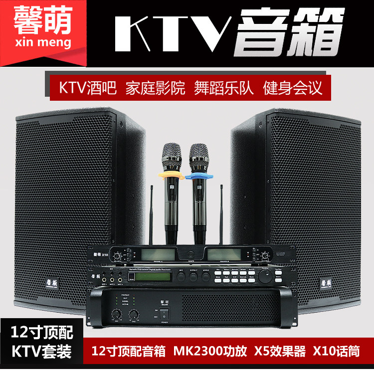 12/15寸家庭ktv音响功放套装家用卡拉OK会议室舞蹈健身房音箱全套