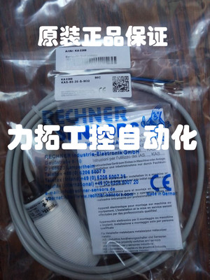 全新瑞奇能传感器IAS-20-A14-A-StEx IAS-10-A14-A-StEx品质保证
