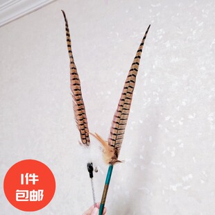 山鸡尾巴羽毛逗猫棒手工赛级猫玩具撩猫互动猫咪用品原色鸡尾翎毛