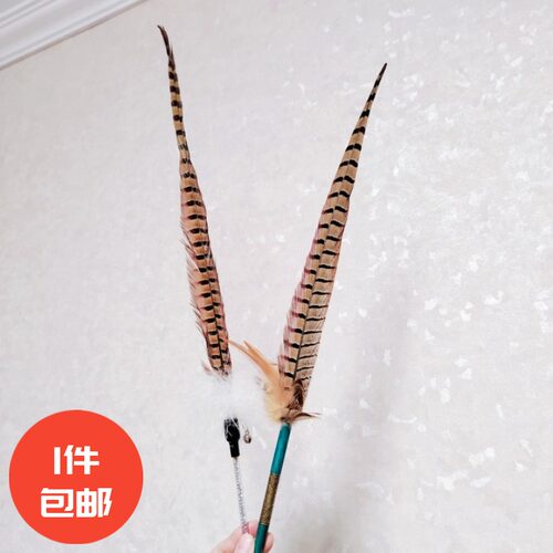 山鸡尾巴羽毛逗猫棒手工赛级
