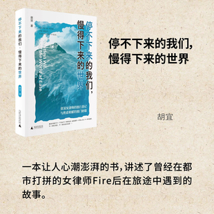 现货 书 停不下来的我们，慢得下来的世界 胡宜著 20年独行游记重磅面世 带你遇见不一样的人生可能 广西师范